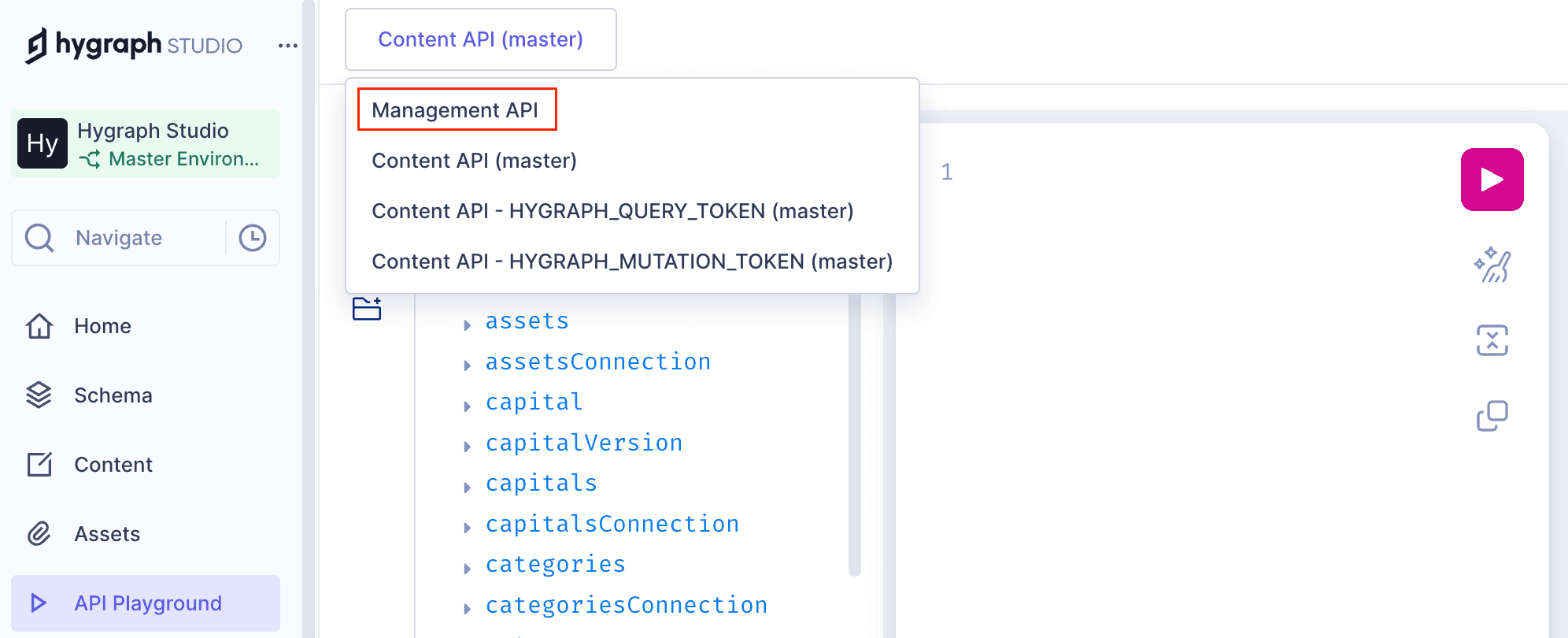 Management API in the API Playground