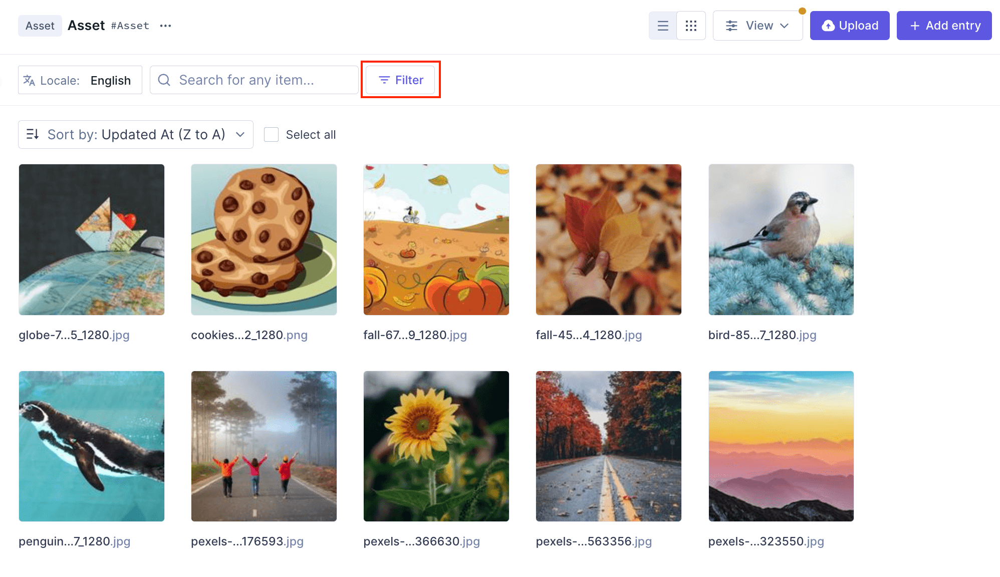 Filter asset entries