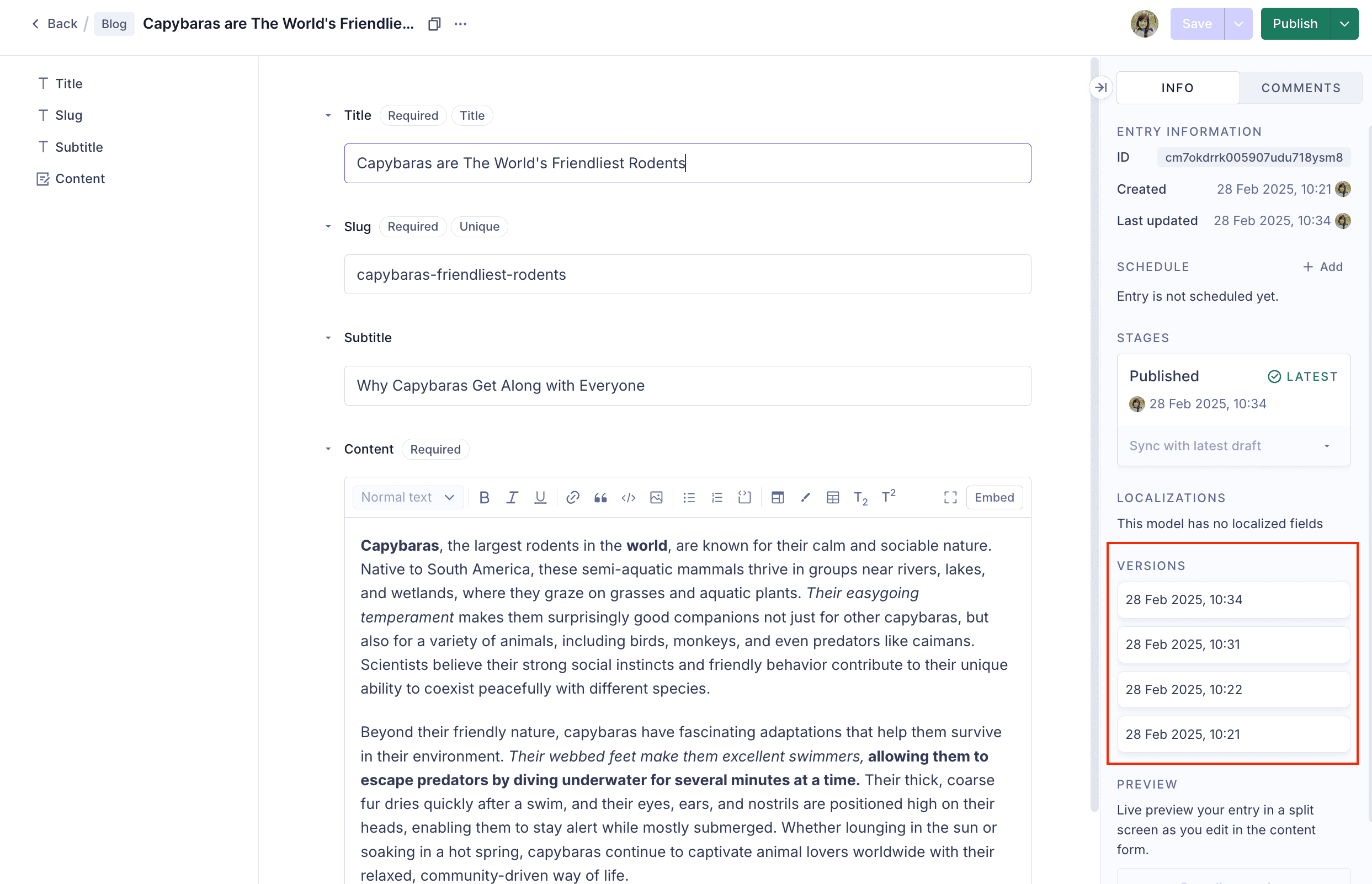 Versions section on the sidebar panel