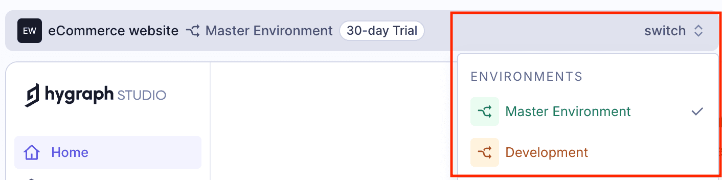 Project environments