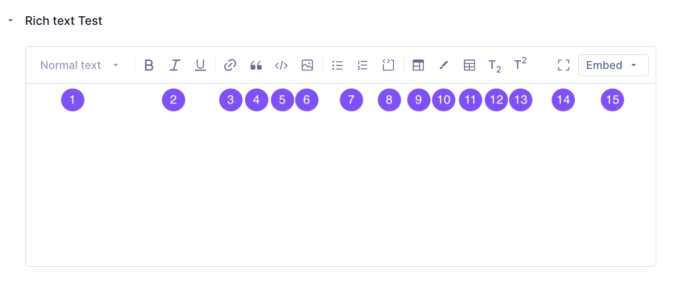 Rich Text Editor (RTE) Field